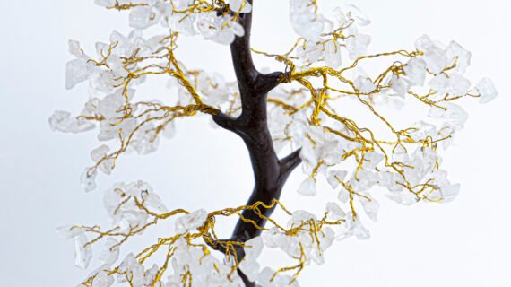 Clear Crystal Tree with Wooden Base for Positive Energies